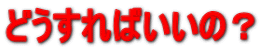�ǂ�����΂����́H