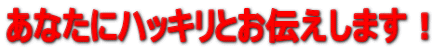 ���Ȃ��Ƀn�b�L���Ƃ��`�����܂��I