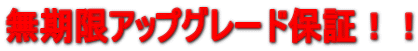 �������A�b�v�O���[�h�ۏ؁I�I