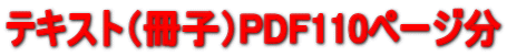�e�L�X�g�i���q�jPDF110�y�[�W��