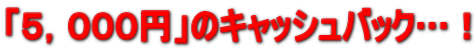 �u�T�C�O�O�O�~�v�̃L���b�V���o�b�N�c�I
